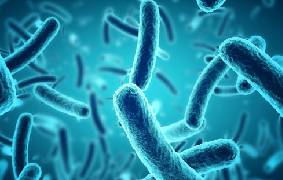 Microbiología