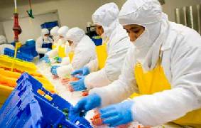 HACCP: